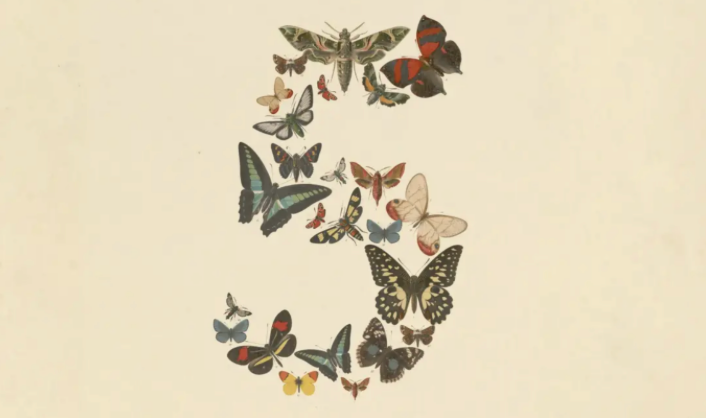 Claude Fable 5 与 Mythos 5 正式发布：Anthropic 推出最强编程模型，代码能力大幅领先